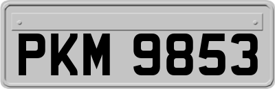 PKM9853