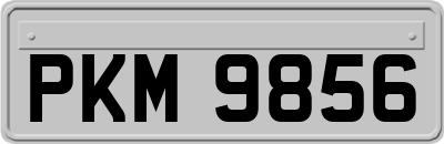 PKM9856