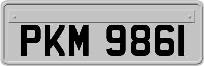 PKM9861