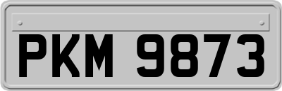 PKM9873
