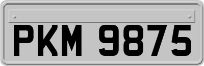 PKM9875