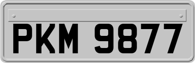 PKM9877