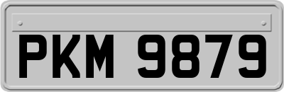PKM9879