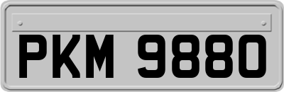 PKM9880