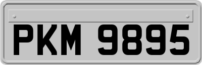 PKM9895