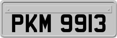 PKM9913