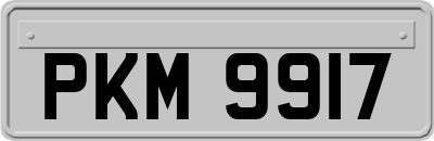 PKM9917