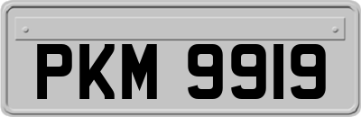 PKM9919