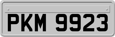 PKM9923