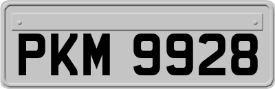 PKM9928