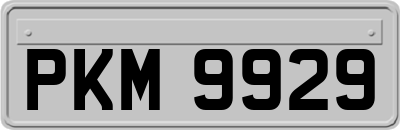 PKM9929