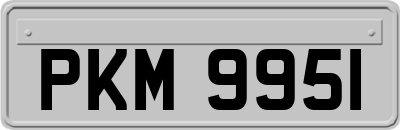 PKM9951
