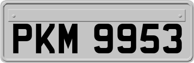 PKM9953