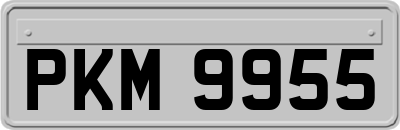 PKM9955
