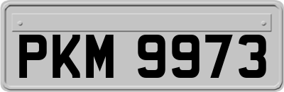 PKM9973