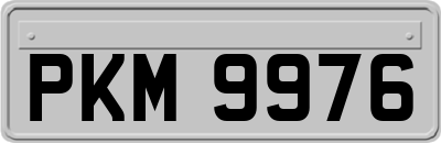 PKM9976
