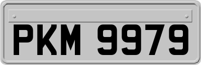 PKM9979
