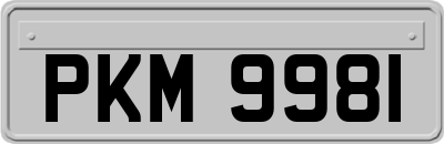 PKM9981