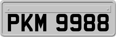 PKM9988