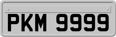PKM9999