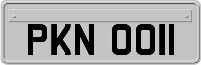 PKN0011
