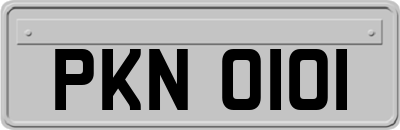 PKN0101