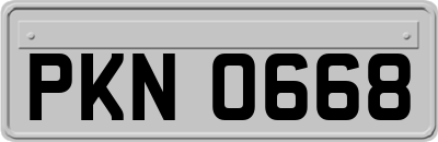 PKN0668