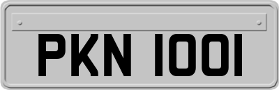 PKN1001
