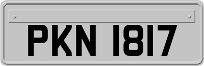 PKN1817