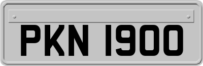 PKN1900