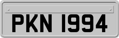 PKN1994