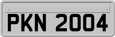 PKN2004