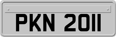 PKN2011