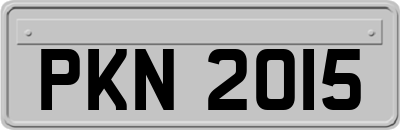 PKN2015