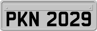 PKN2029