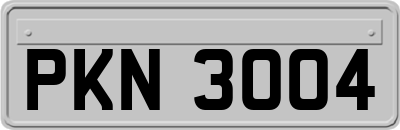 PKN3004