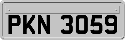 PKN3059