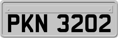 PKN3202