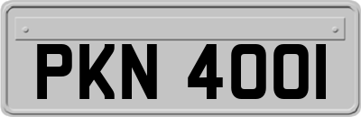 PKN4001