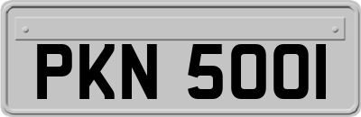 PKN5001