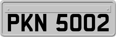 PKN5002