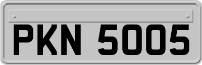 PKN5005