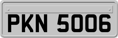 PKN5006