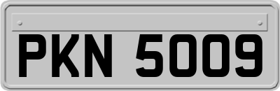 PKN5009