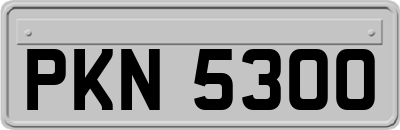 PKN5300
