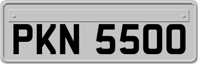 PKN5500