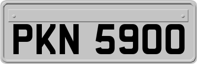PKN5900