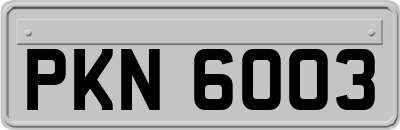 PKN6003