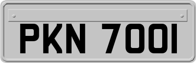 PKN7001