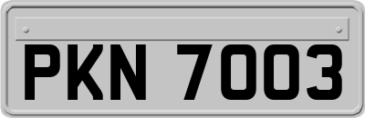 PKN7003
